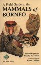 A Field Guide to the Mammals of Borneo
