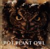 Pot Plant Owl
