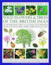 Illustrated Encyclopedia of Wild Flowers and Trees of the British Isles