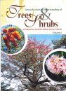 Towards a Better Understanding of Trees & Shrubs of Mauritius and the Indian Ocean Islands, Volume 1