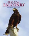 Practical Falconry