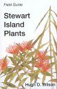 Stewart Island Plants