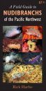 A Field Guide to Nudibranchs of the Pacific Northwest