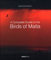 A Complete Guide to the Birds of Malta