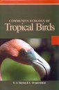 Community Ecology of Tropical Birds
