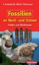 Fossilien an Nord- und Ostsee [Fossils of the North and Baltic Seas]