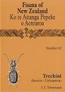 Fauna of New Zealand, No 62: Trechini (Insecta: Coleoptera: Carabidae: Trechinae)