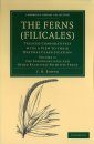The Ferns (Filicales), Volume 2: The Eusproangiatae and Other Relatively Primitive Ferns