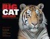 Real Stories of Big Cat Rescues