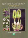Flowering Plants of India: Dicotyledons, Volume 1