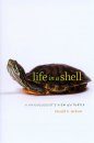 Life in a Shell