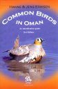 Common Birds in Oman