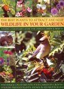 The Best Plants to Attract and Keep Wildlife in the Garden