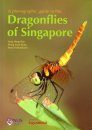 A Photographic Guide to the Dragonflies of Singapore
