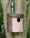 1CGA Schwegler Nest Box