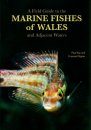 A Field Guide to the Marine Fishes of Wales and Adjacent Waters
