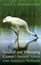 Sandhill and Whooping Cranes