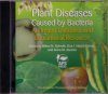 Plant Diseases Caused by Bacteria