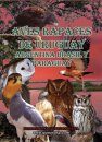 Aves Rapaces de Uruguay, Argentina, Brasil y Paraguay [Birds of Prey from Uruguay, Argentina, Brazil and Paraguay]
