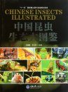 Chinese Insects Illustrated [Chinese]