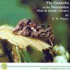 The Genitalia of the Noctuidae