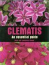 Clematis: An Essential Guide