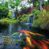 International Garden Photographer of the Year, Collection 4