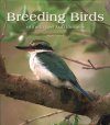 Breeding Birds of the United Arab Emirates