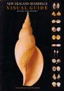 New Zealand Seashells Visual Guide