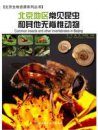 Common Insects and Other Invertebrates in Beijing [Chinese]