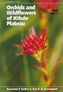 Orchids and Wildflowers of the Kitulo Plateau