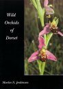 Wild Orchids of Dorset