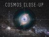 Cosmos Close-up