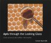 Apis Through the Looking Glass