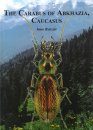 The Carabus of Abkhazia, Caucasus (Coleoptera, Carabidae)