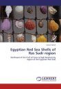 Egyptian Red Sea Shells of Ras Sudr region