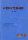 Fauna of Invertebrata from Liupan Mountain [Chinese]