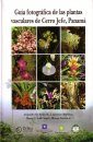 Guía Fotográfica de las Plantas Vasculares de Cerro Jefe, Panamá [Photographic Guide to the Vascular Plants of Cerro Jefe, Panama]