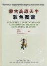 Coloured Illustrations of Longhorned Beetles in Mongolian Plateau [Chinese / Mongolian]
