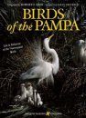 Birds of the Pampa