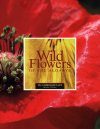 Wild Flowers of the Algarve, Volume 2: Herbaceous Plants