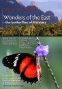 Wonders of the East - the Butterflies of Malaysia (All Regions)