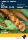 Conifer Moths of the British Isles