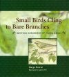 Small Birds Cling to Bare Branches