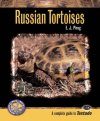 Russian Tortoises
