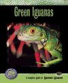 Green Iguanas