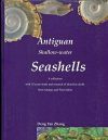 Antiguan Shallow-Water Seashells