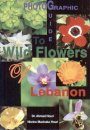 Photographic Guide to Wild Flowers of Lebanon, Volume 1