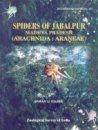 Spiders of Jabalpur, Madhya Pradesh: Arachnida: Araneae