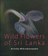 Wild Flowers of Sri Lanka